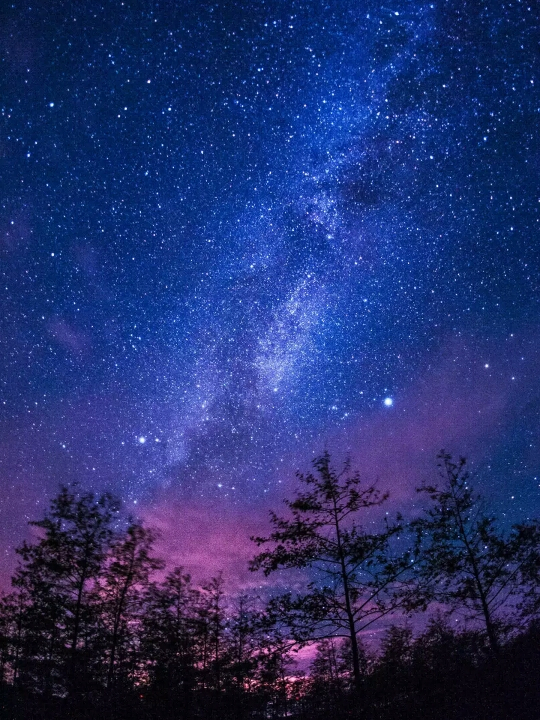 我爱你,愿为你摘星取月,看花红柳绿,求得你以身相许,是我生命最大奇迹