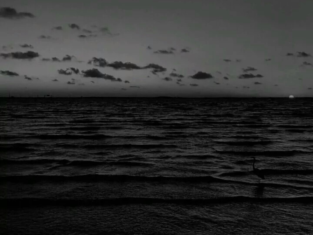 海的背景图片高清黑色图片