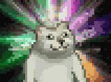 mur猫表情包gif图片