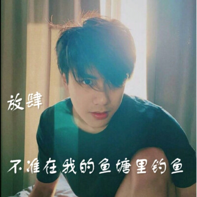 泰迪,陈炳林ohm