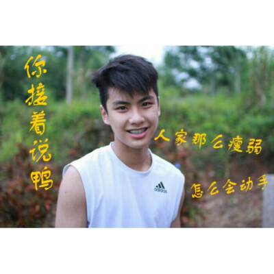 泰迪,陈炳林ohm