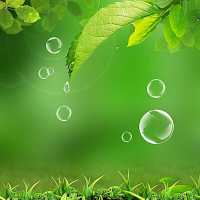 绿叶水滴头像图片