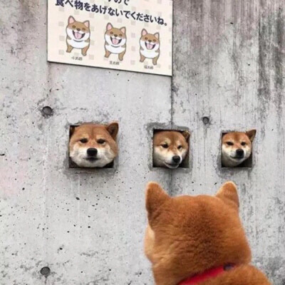 监控朋友圈背景图