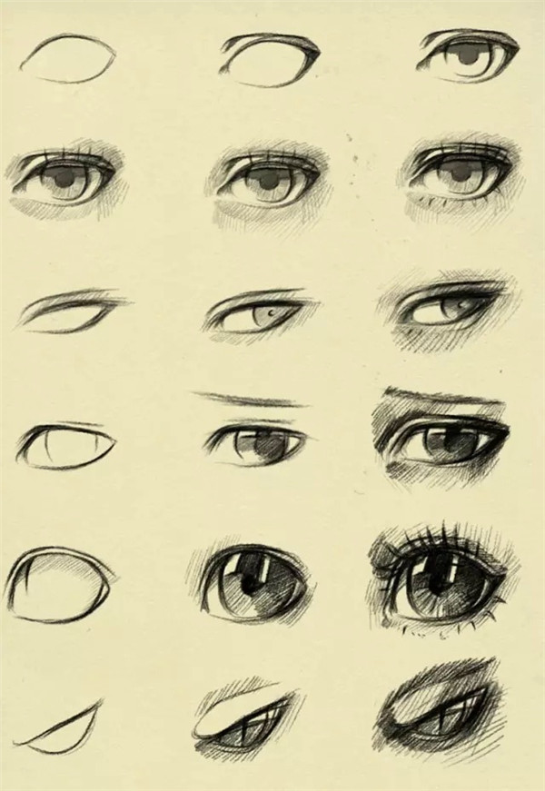 绘画素材:眼睛