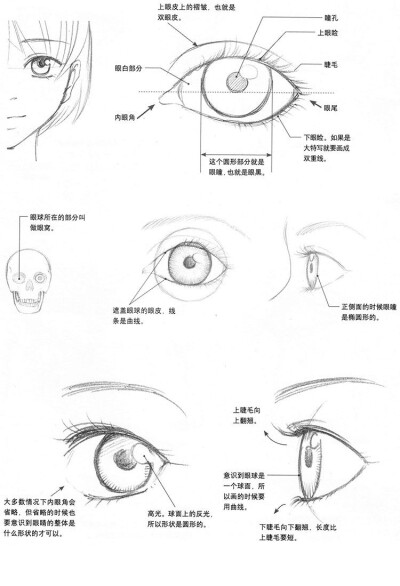 发布到  eye 图片评论 0条  收集   点赞  评论  不同角度眼睛画法 0