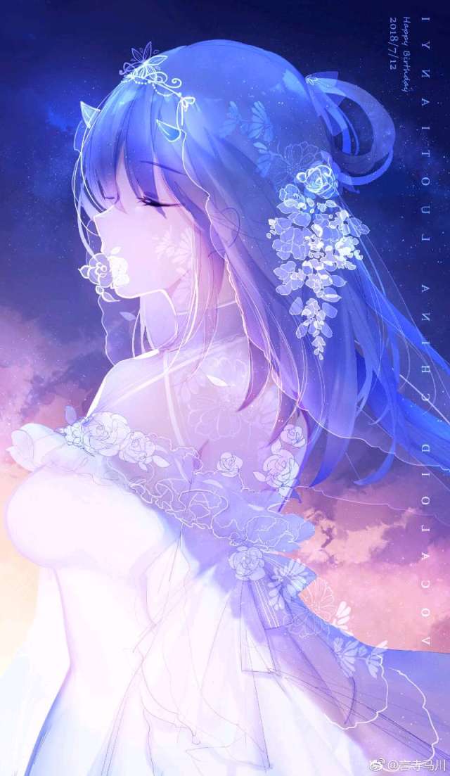 动漫,二次元