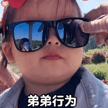 你们不用搬砖表情包 - 堆糖,美图谥叫巳ど缜