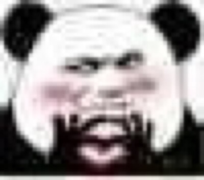 小熊猫表情包