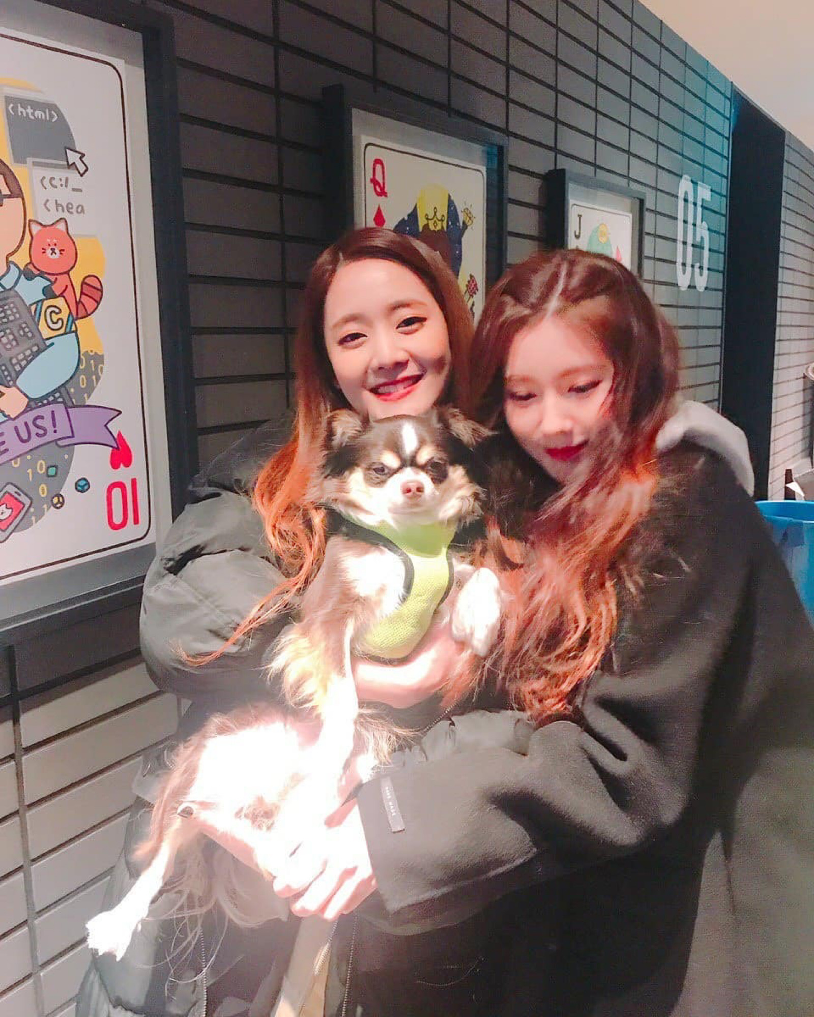 赵美延and minnie