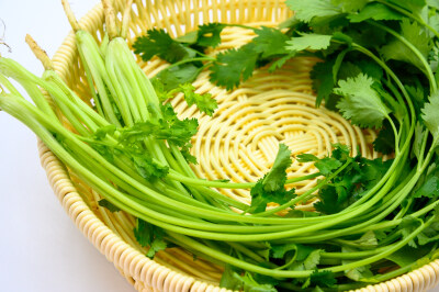 香菜 蔬菜 植物 绿色 绿叶菜 佐料 新鲜 生的 农作物 种植的 膳食纤维