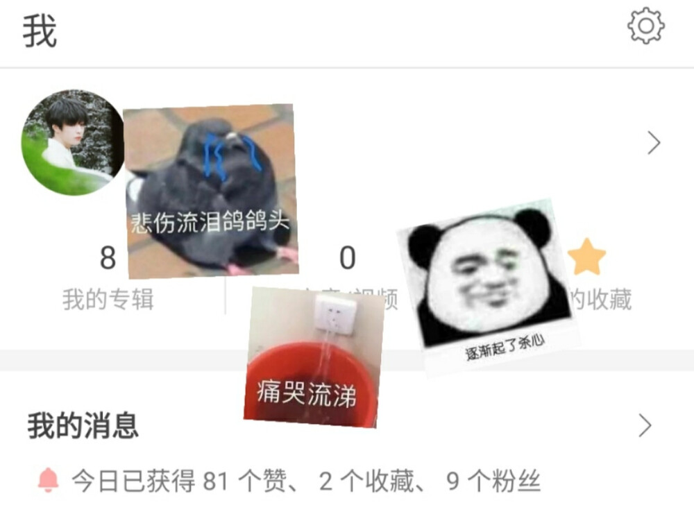 收藏少的可怜(靓仔无奈