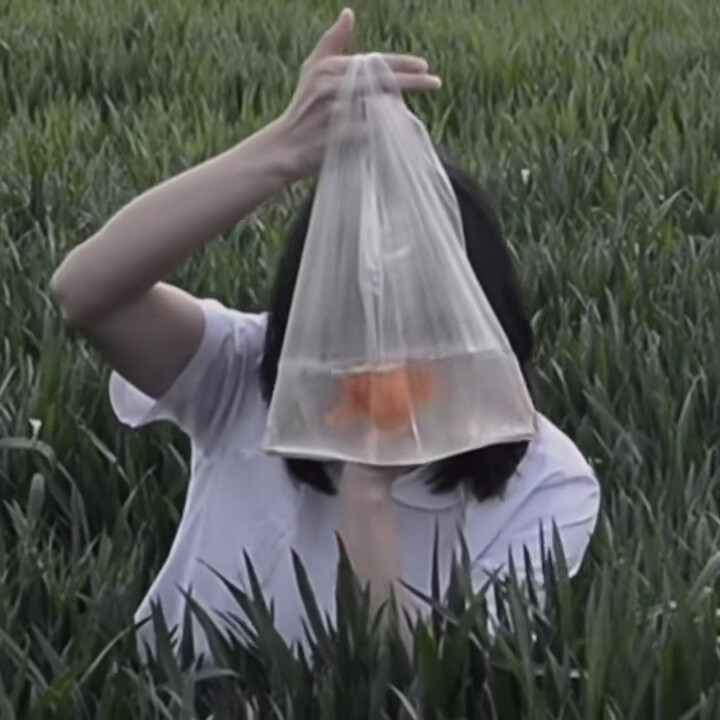 夏天了 想躲进海盐冰激淋里 或者和晚风一起溜出窗去自截!女生头像