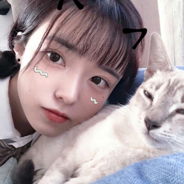  蕊蕊>情头对象不是人系列