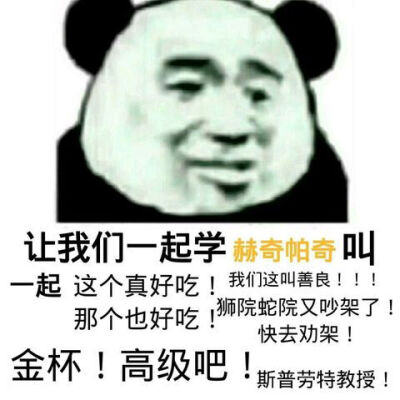 赫奇帕奇沙雕表情包图片