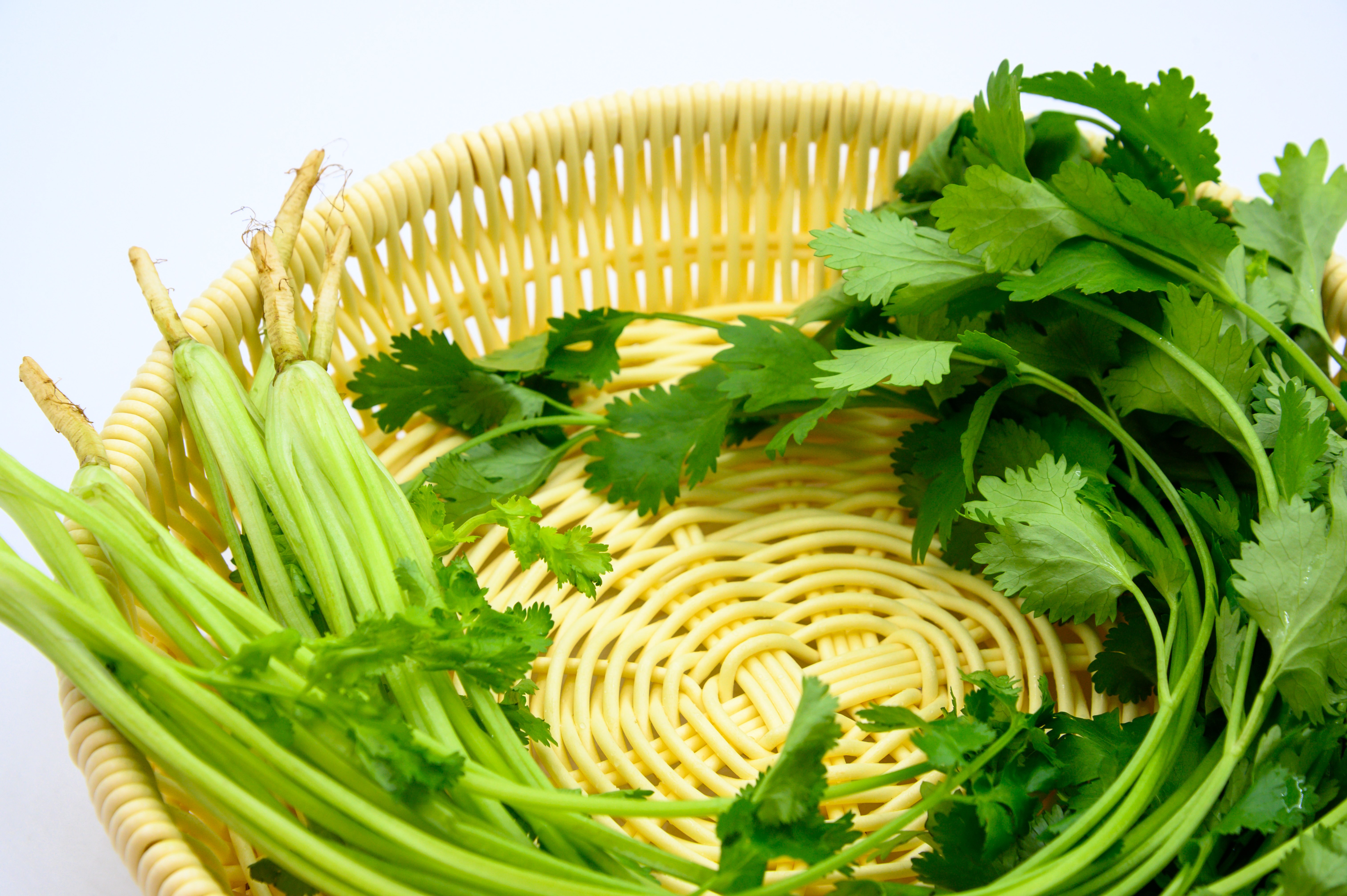 香菜 蔬菜 植物 绿色 绿叶菜 佐料 新鲜 生的 农作物 种植的 膳食纤维