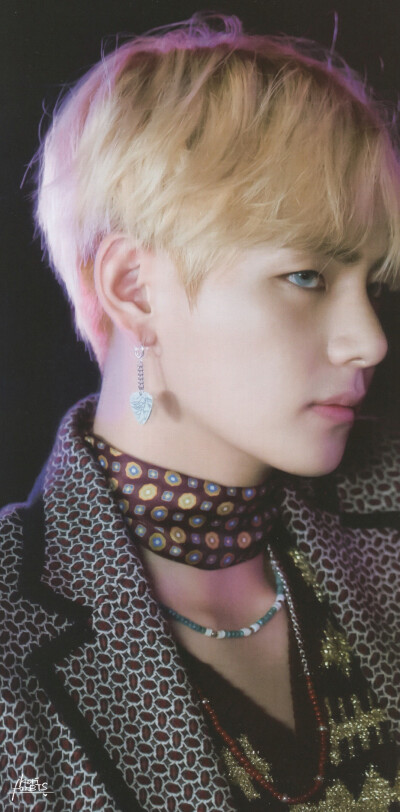 金泰亨 bts memories of 2016