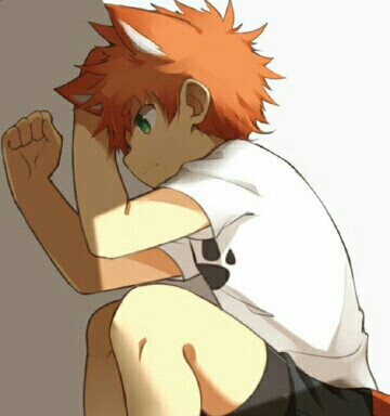 猫哥- 堆糖,美图壁纸兴趣社区