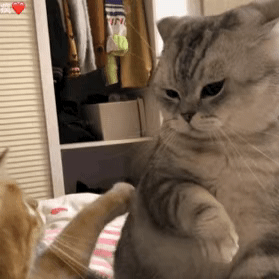 插画绘画 影音书籍 人物明星 植物多肉 生活百科 搞笑萌宠 人文艺术