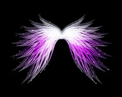 白羽翼 - 堆糖,美图壁纸兴趣社区