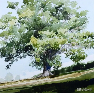树画法水彩