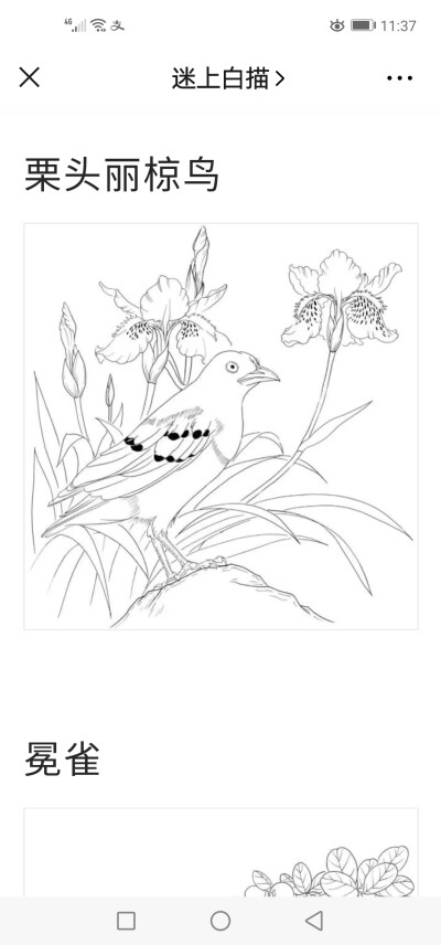 白描花鸟鱼