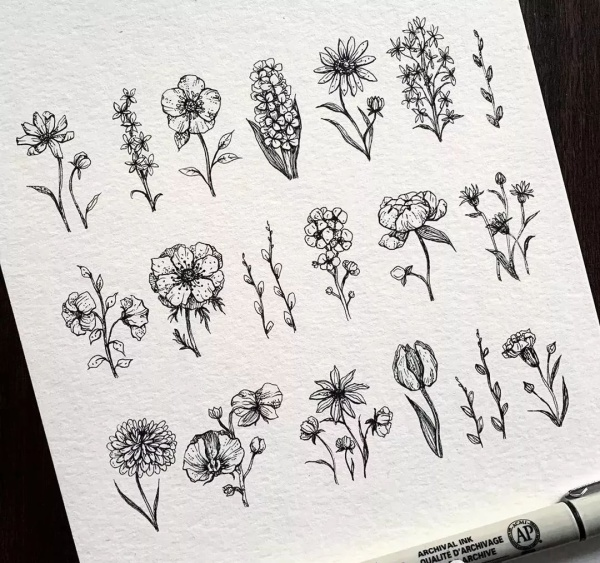 黑白线条花卉图