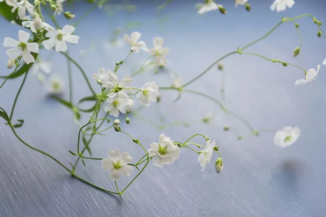 满天星锁屏壁纸图片