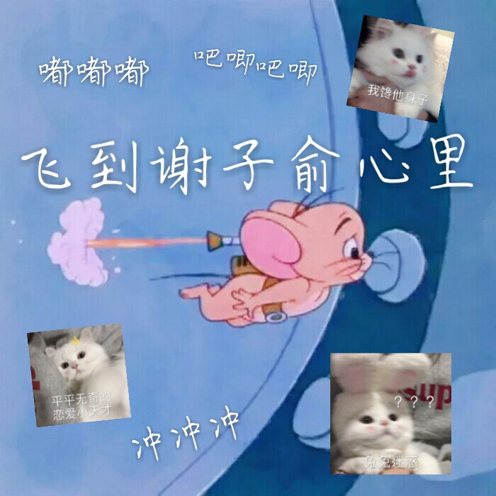 小谢.