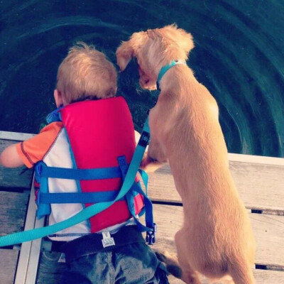 小男孩和小狗
