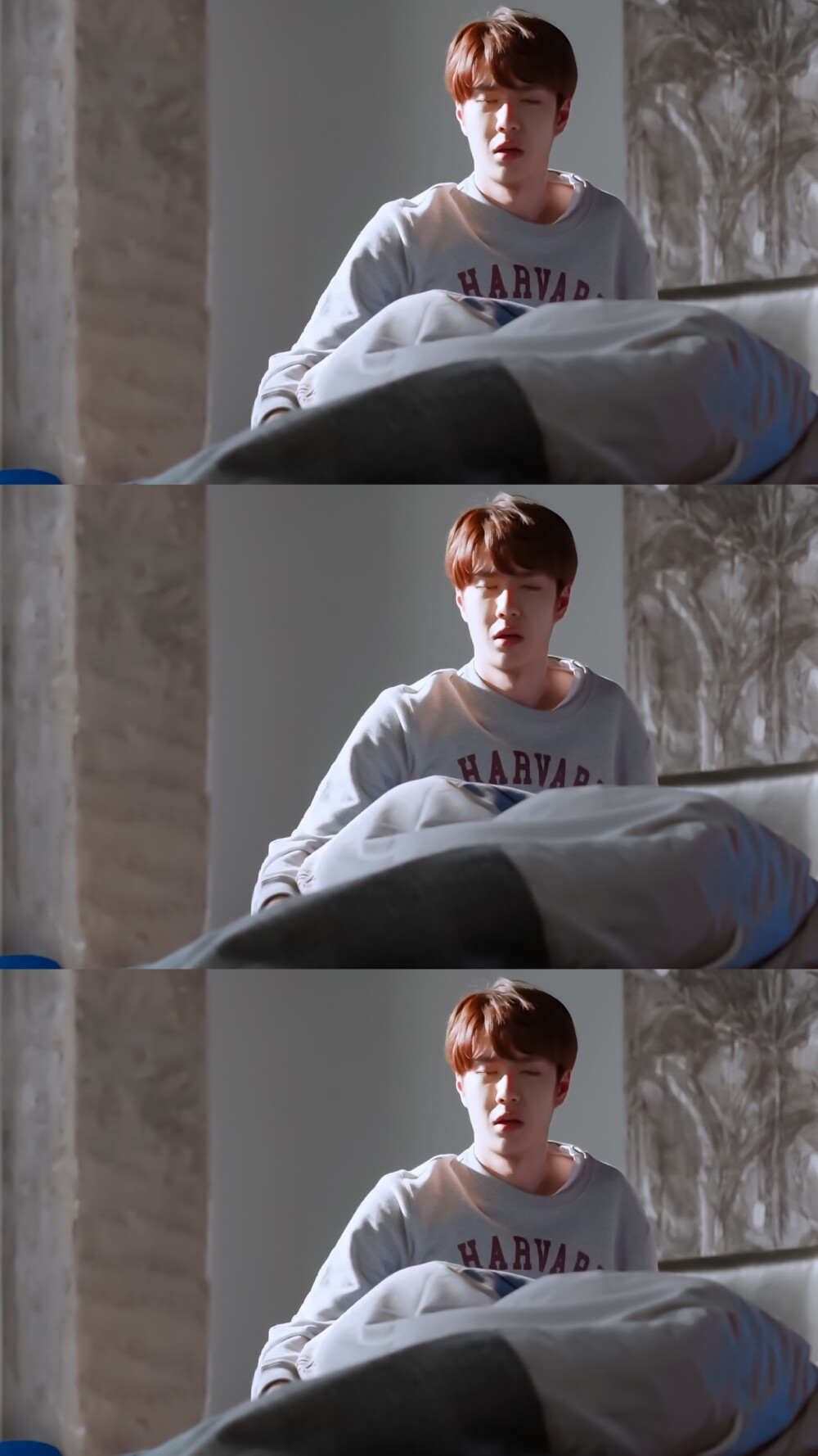 陪你到世界之巅 截修刚睡醒的懵懵猪 有起床气的猪猪空 @uniq-王一博