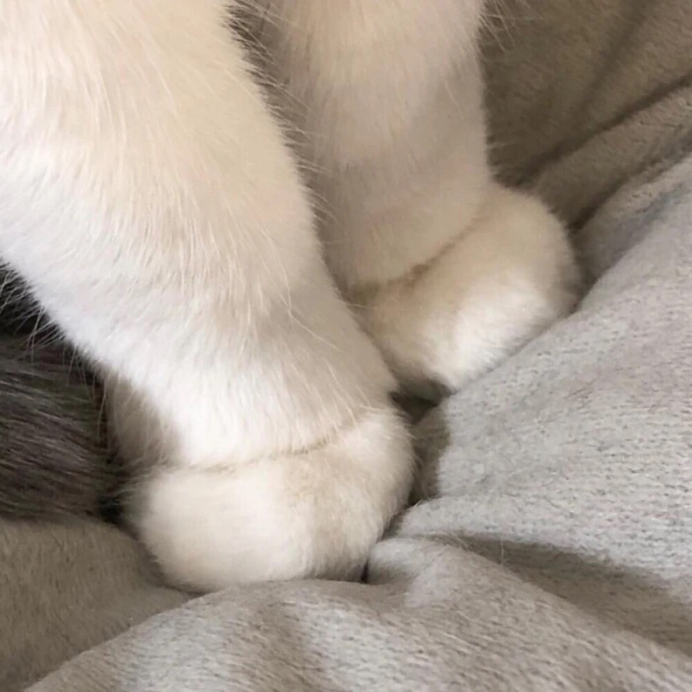 情头