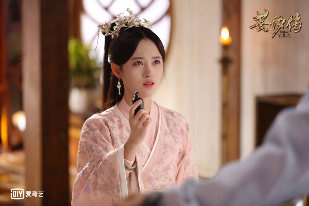 《芸汐传》(天才小毒妃)