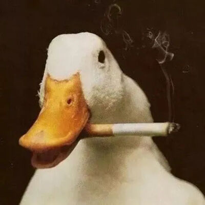 沙雕头像
