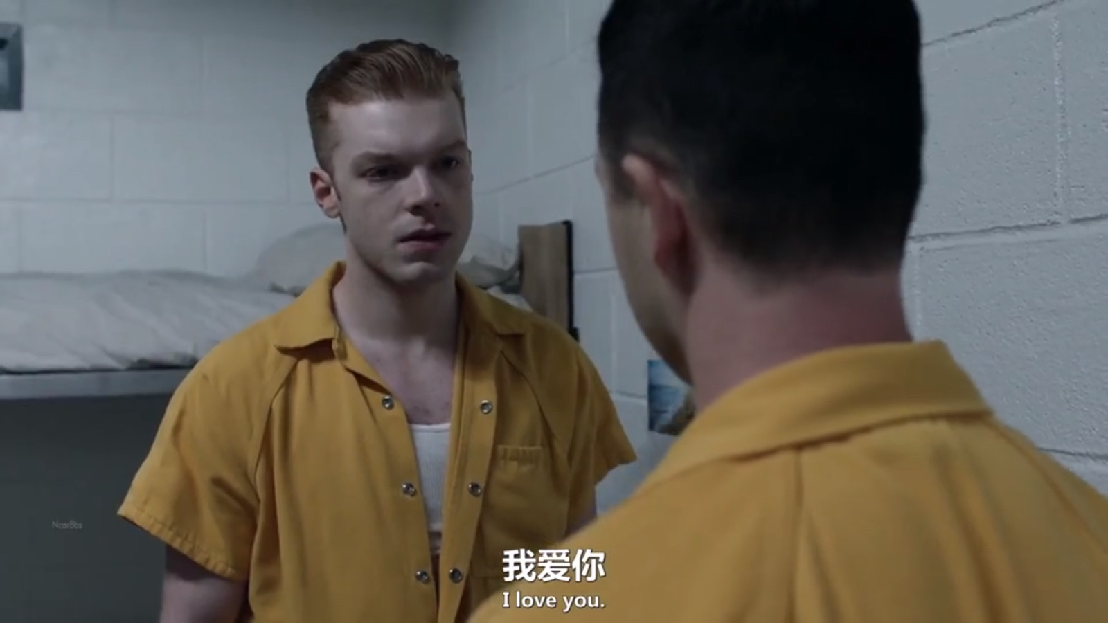 【自截】【侵删】