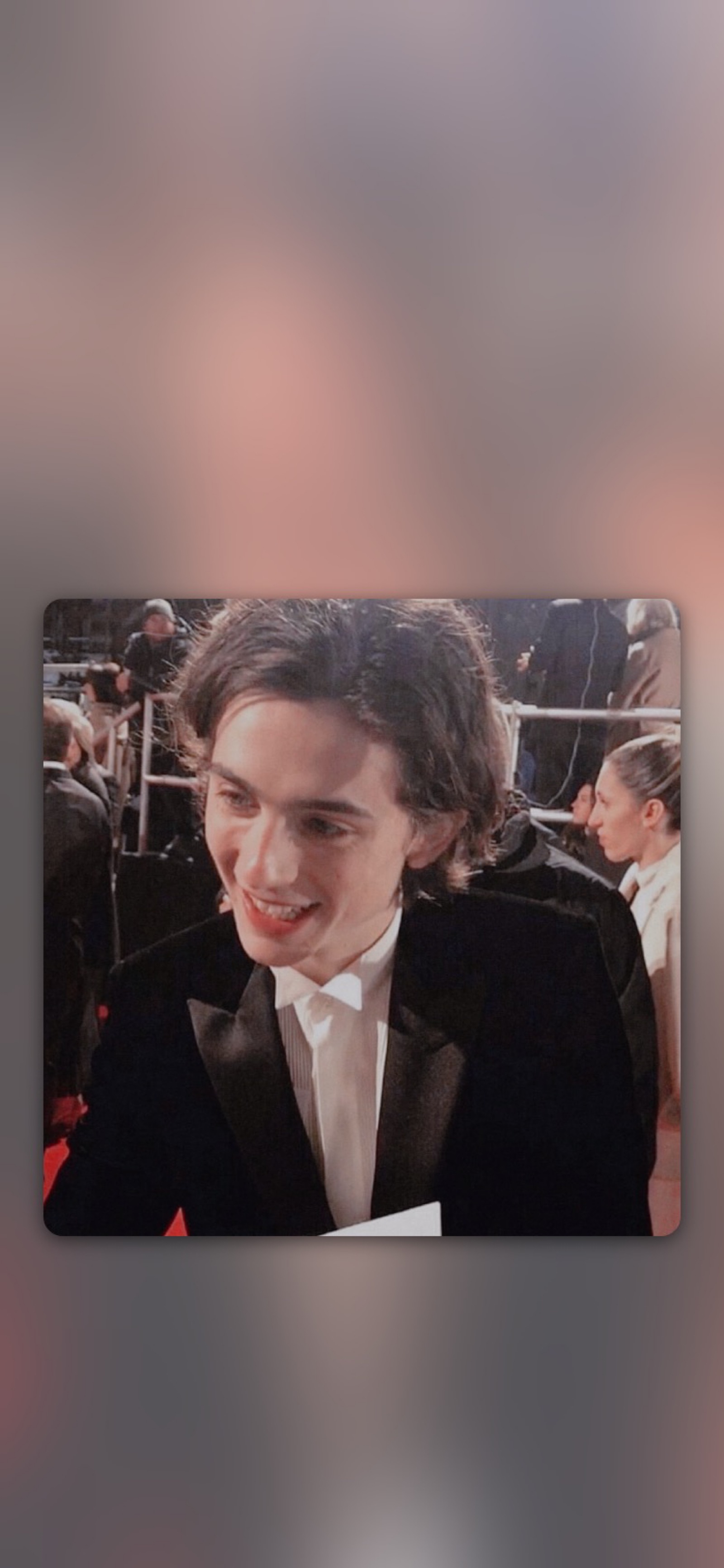 蒂莫西·柴勒梅德timothéechalamet(请以你的名字呼唤我)蒂莫西·柴