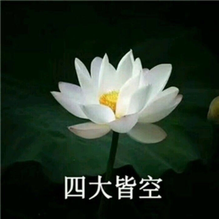 动漫头像养身头像老年人最爱