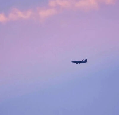 紫色风格背景图