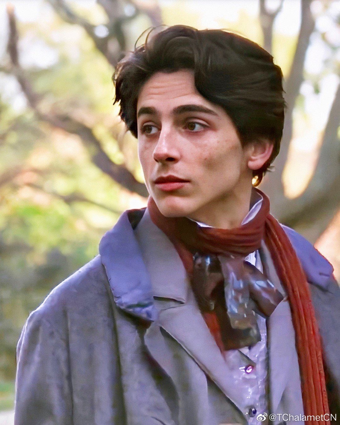 蒂莫西·柴勒梅德timothéechalamet(请以你的名字呼唤