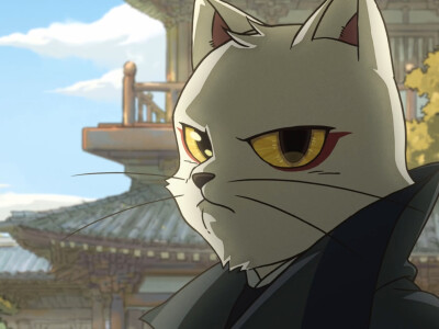 猫爷呀!哈哈哈