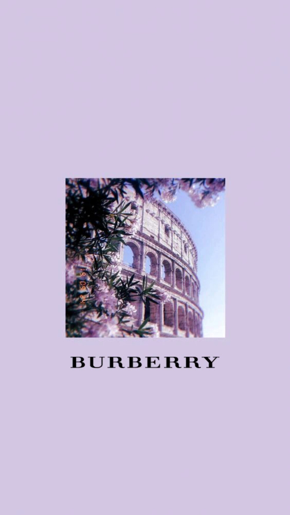 burberry背景照片图片