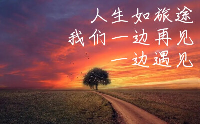 人生再见