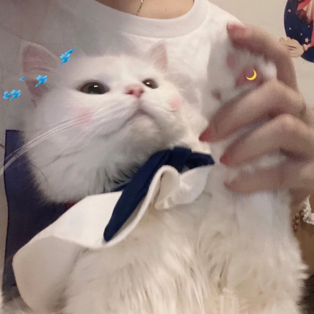情头