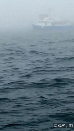 鲸跃