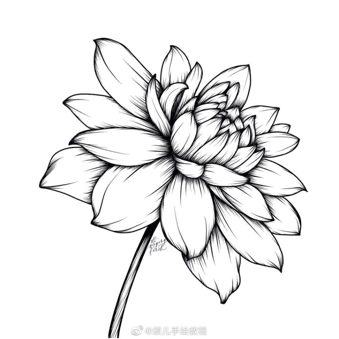 线描花