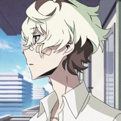 二次元的撕漫男