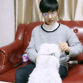 肖战亲猫猫～(好酸…)