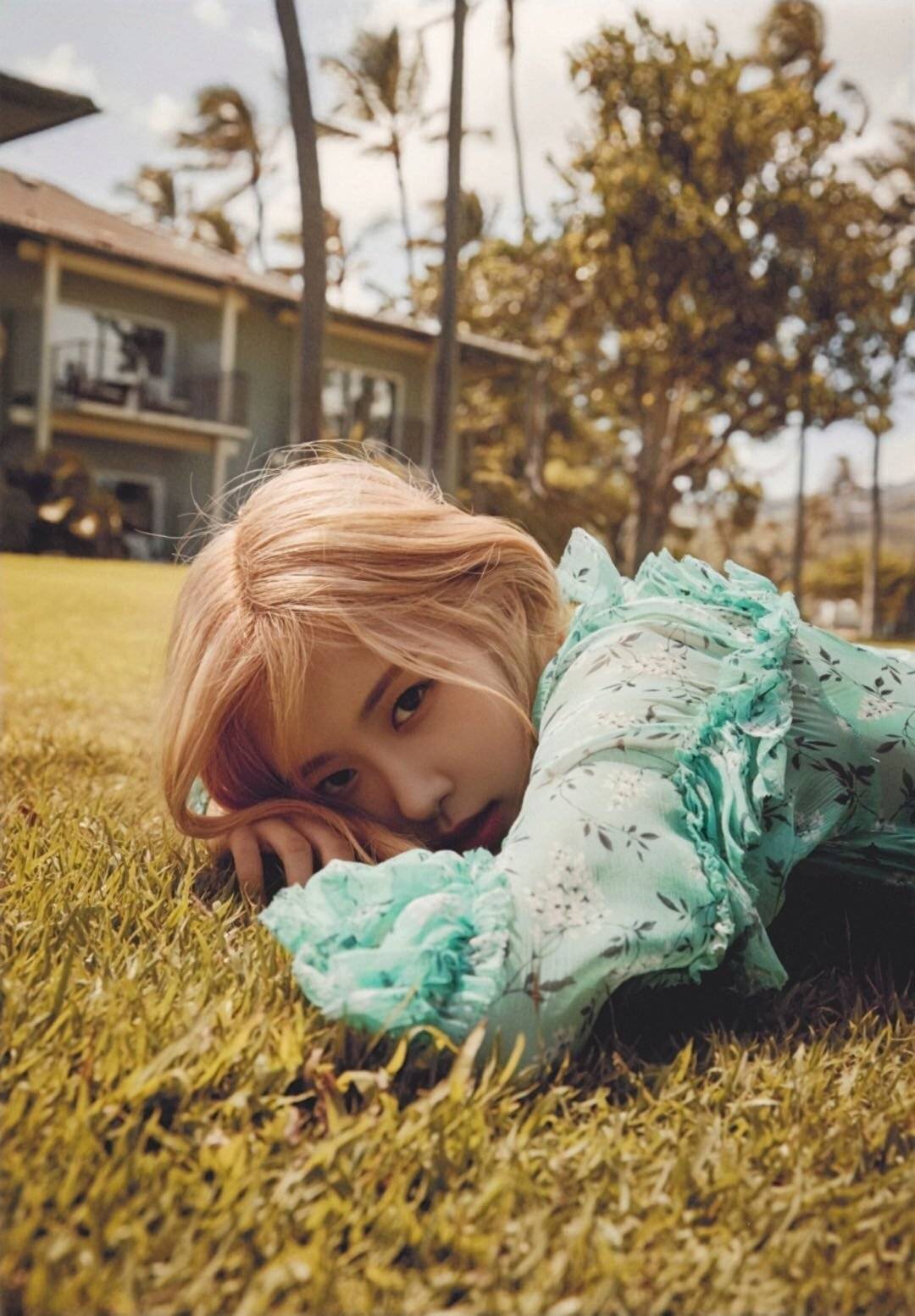 rosé朴彩英 blackpink