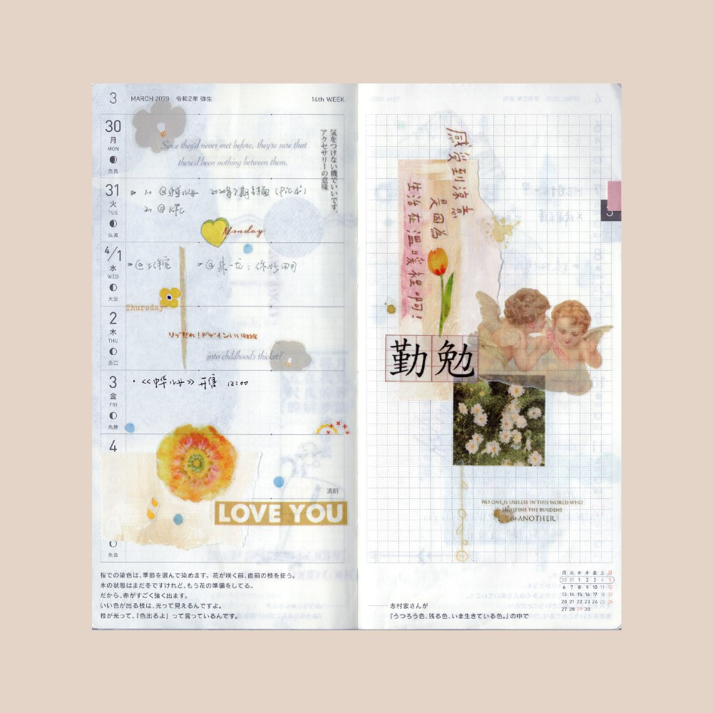 weeks排版 图源水印 转侵删