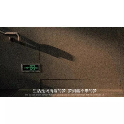 拍抖音背景图