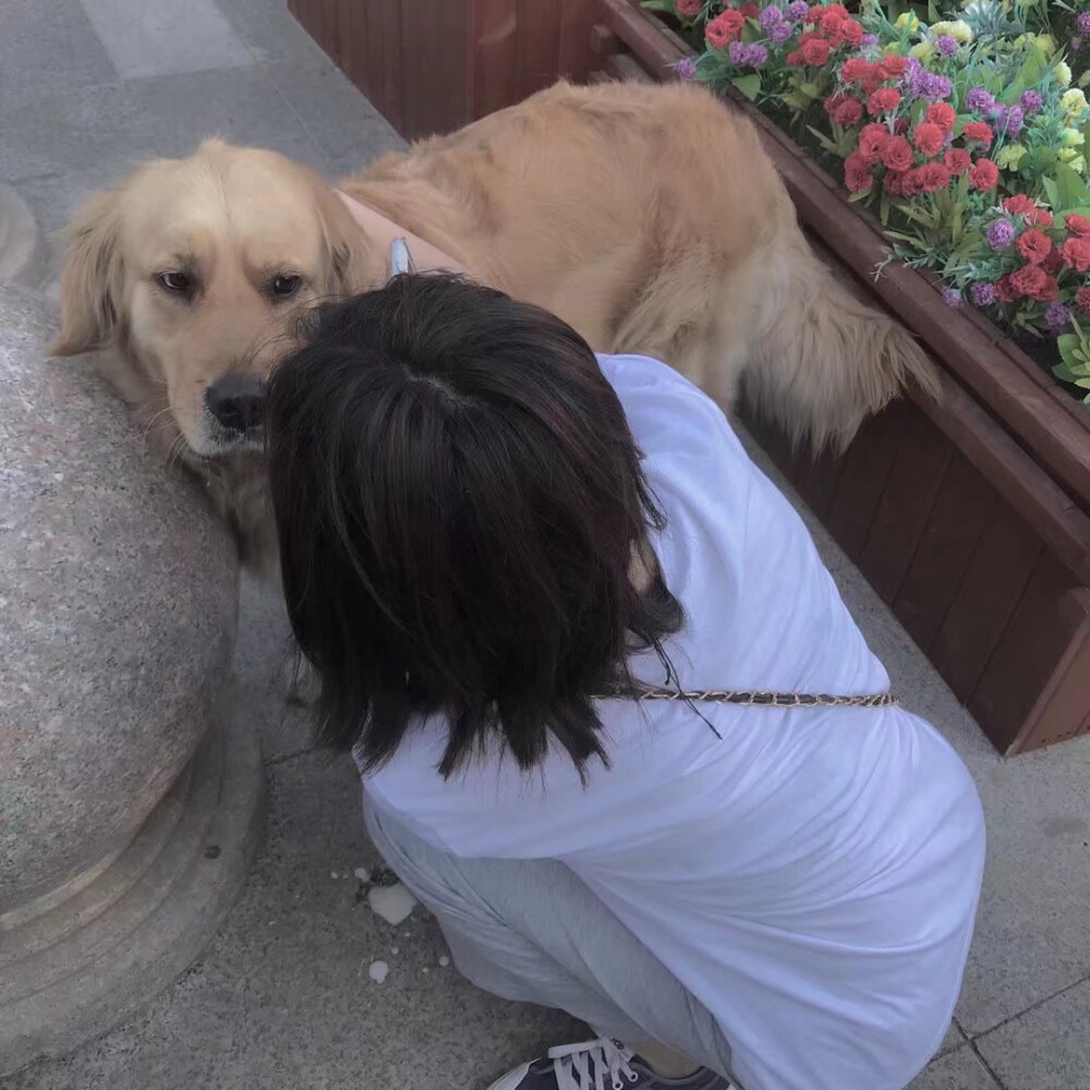 女孩和狗的微信头像图片